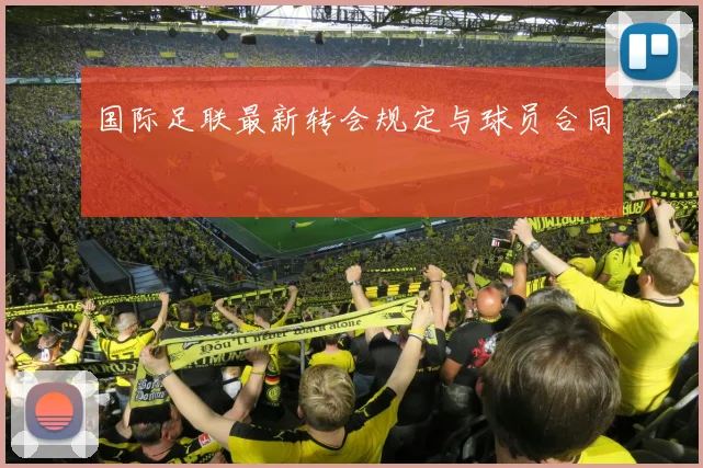 国际足联最新转会规定与球员合同